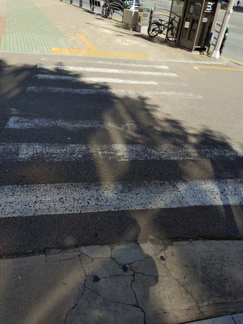 도로 균열