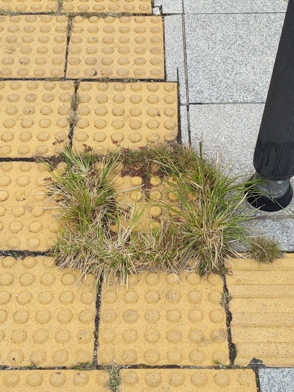 보도블록 구조물 파손