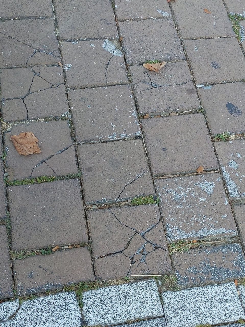 보도블록 균열