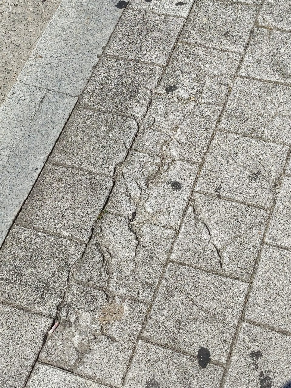 보도블록 균열