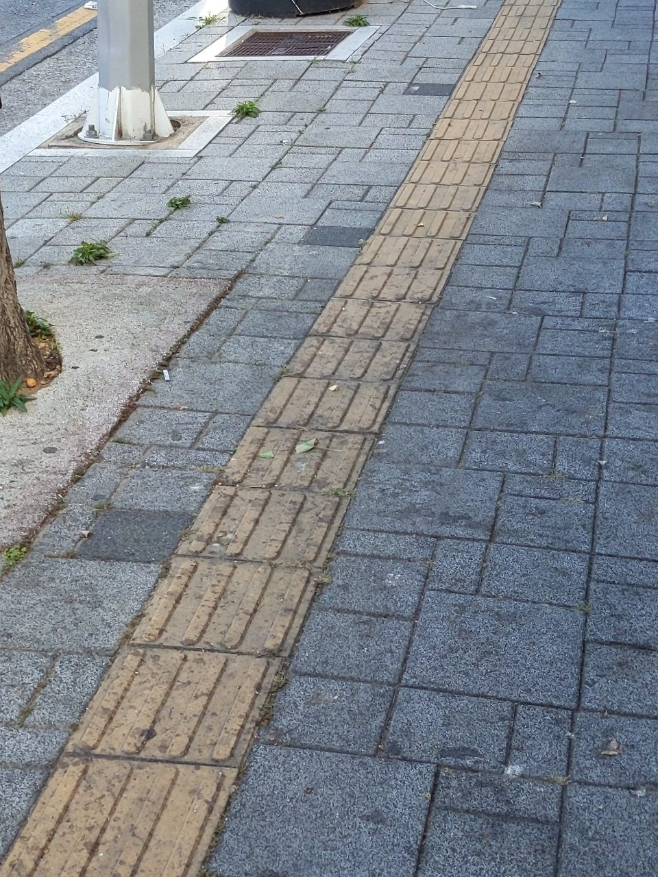 보도블록 구조물 파손