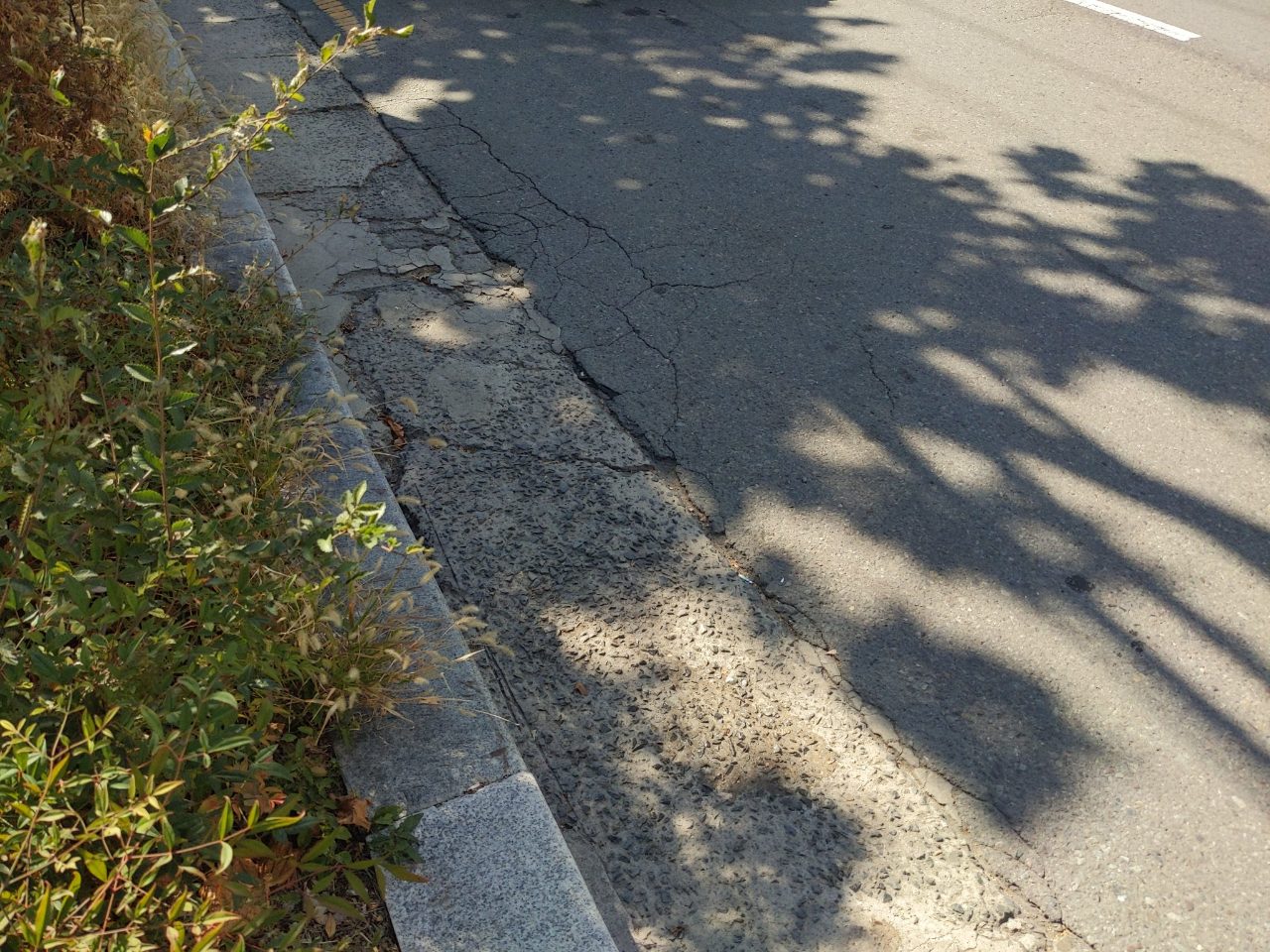 도로 균열