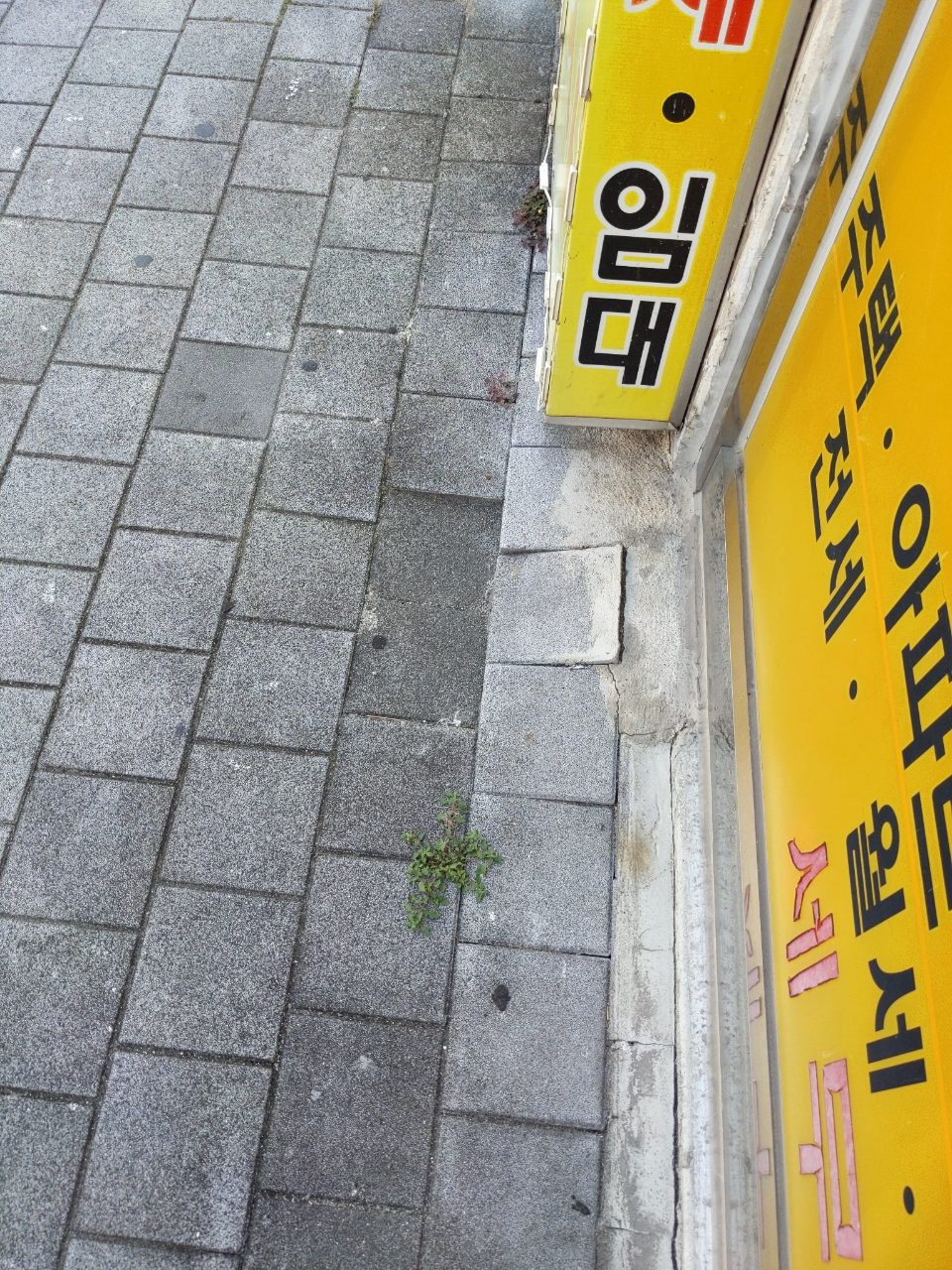 보도블록 균열