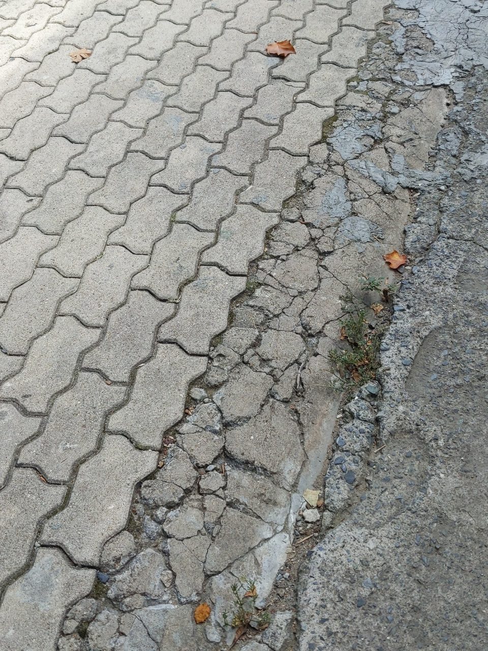 보도블록 균열