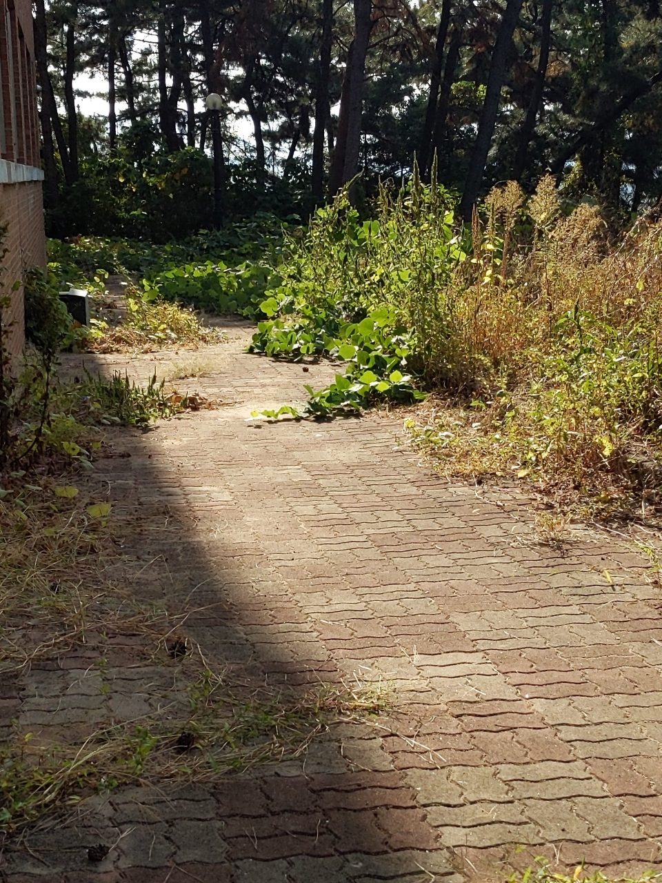 보도블록 이상 없음