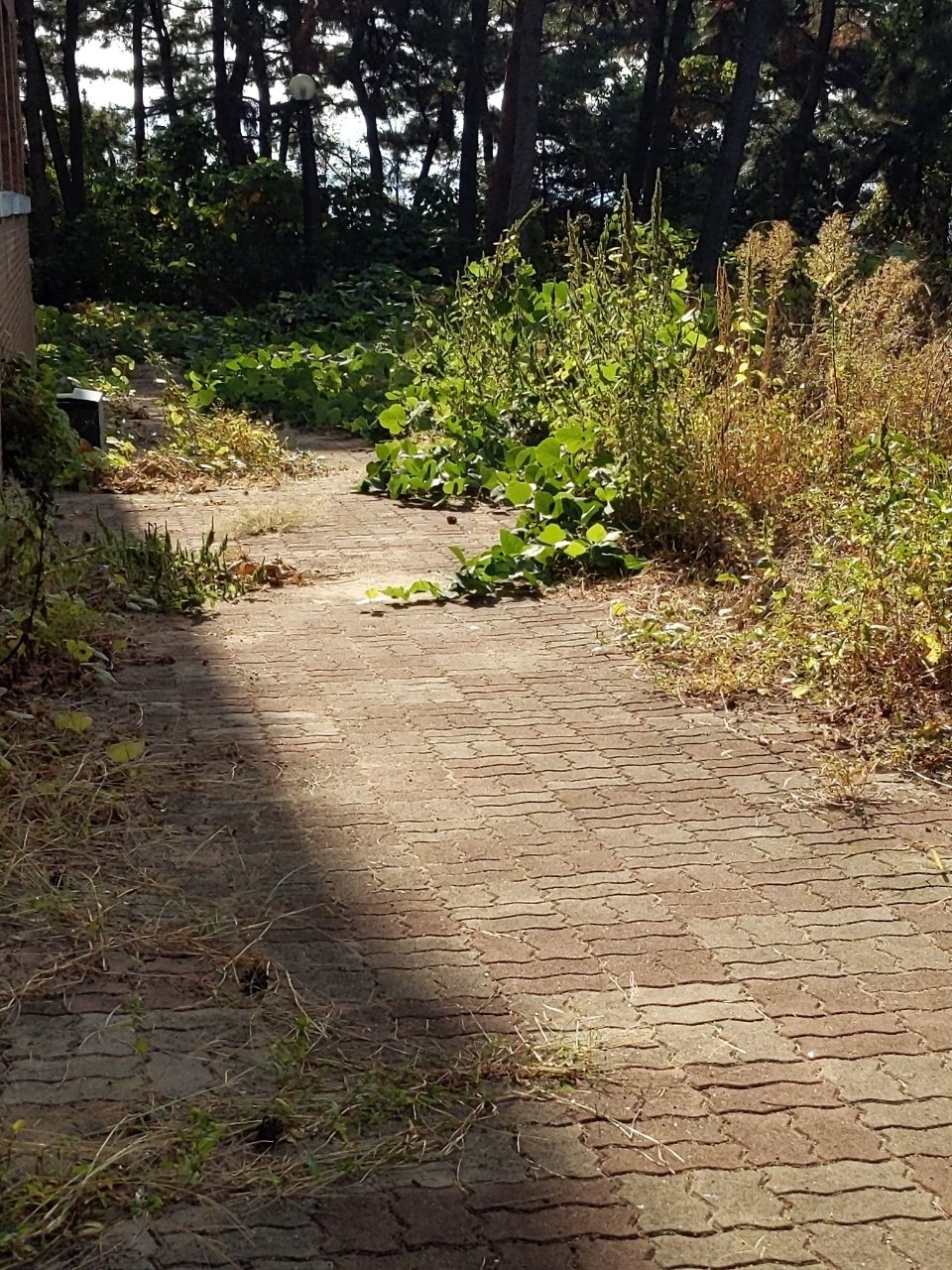 보도블록 이상 없음