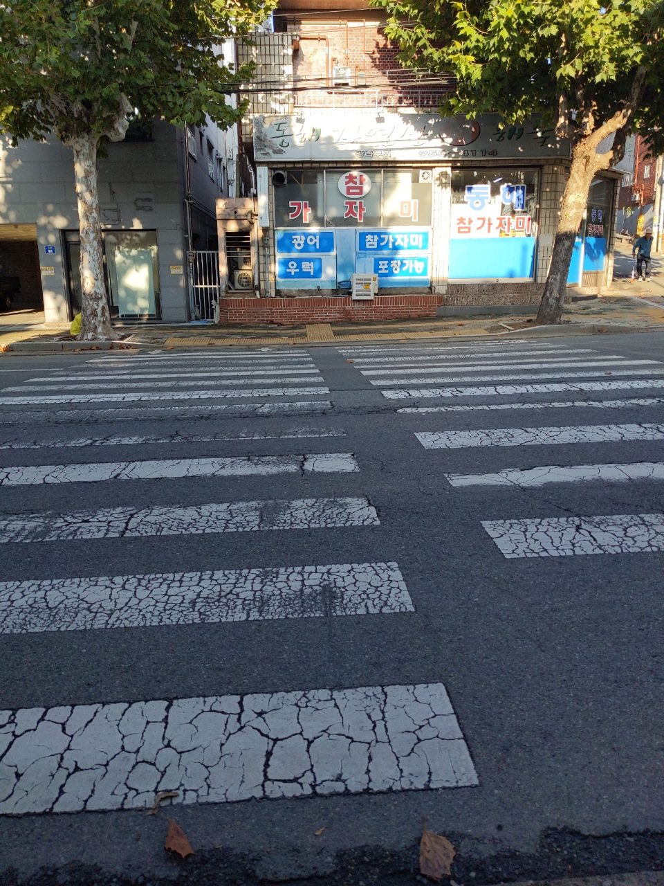 도로 균열