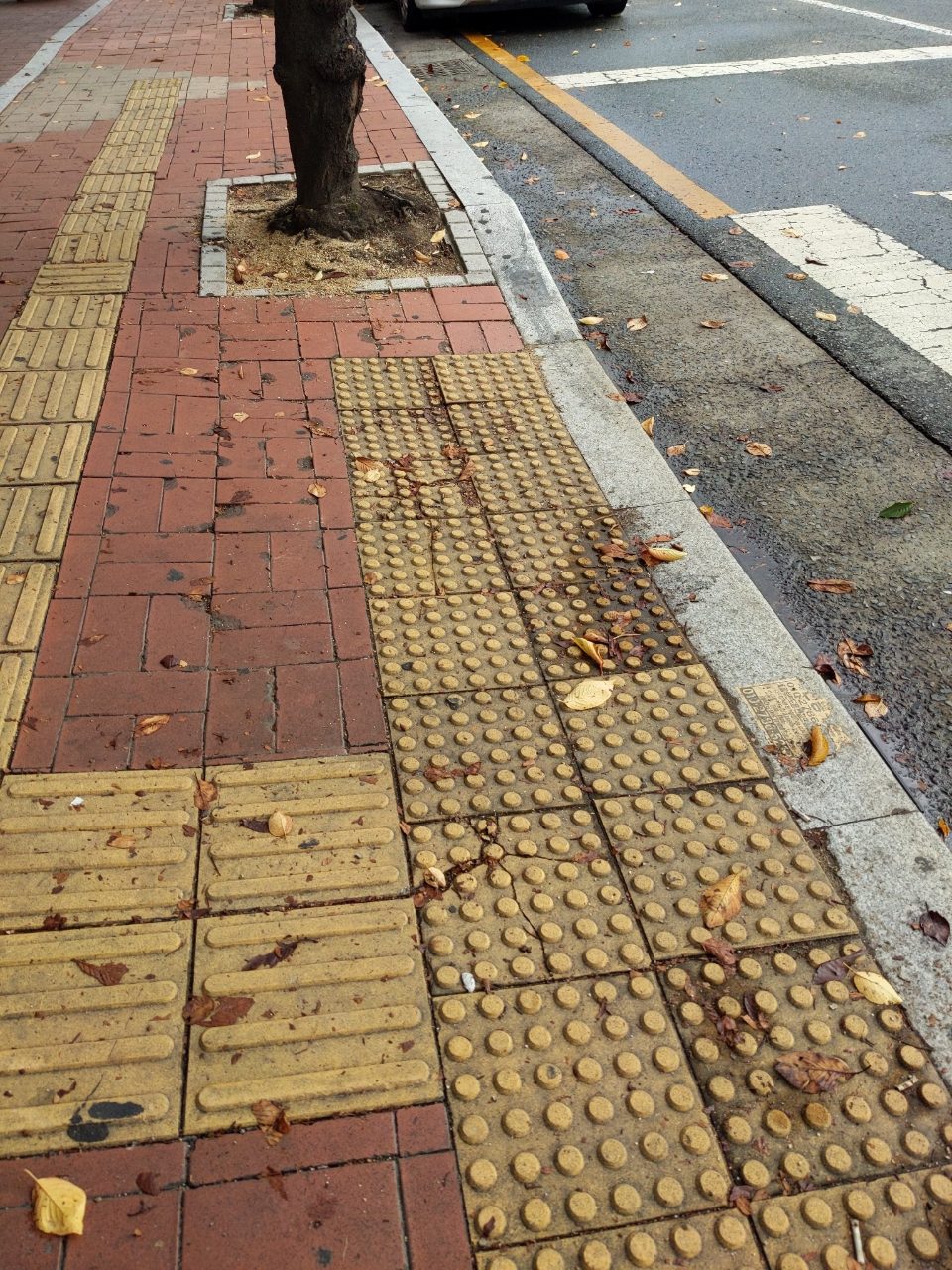 보도블록 구조물 파손