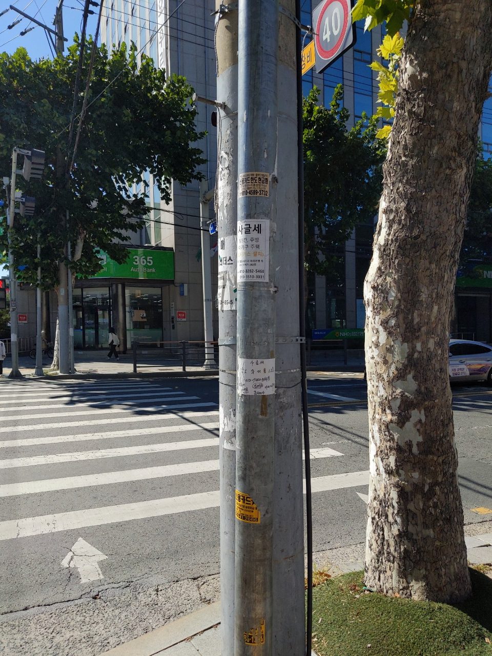 가로등 이상 없음