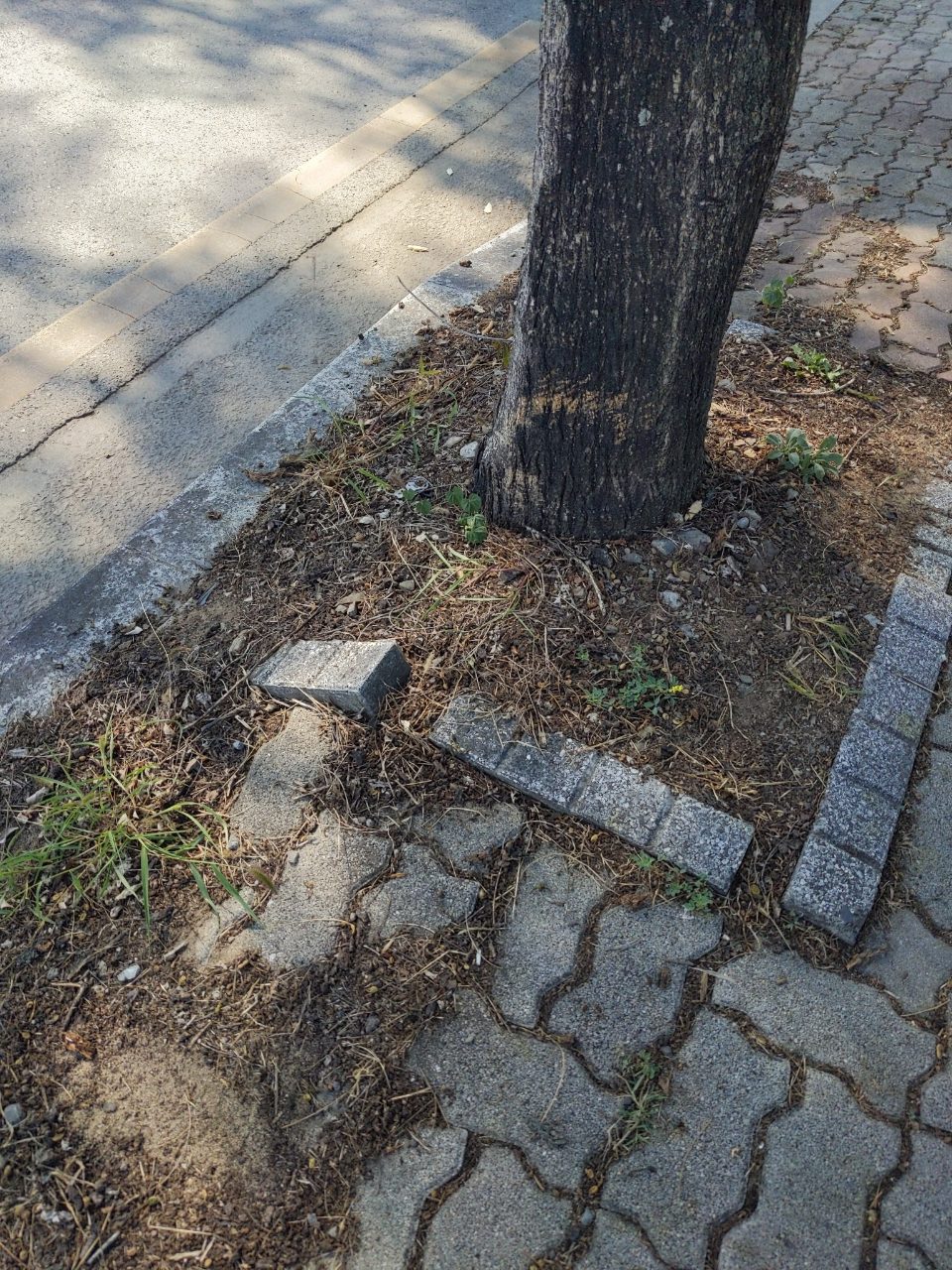 보도블록 구조물 파손