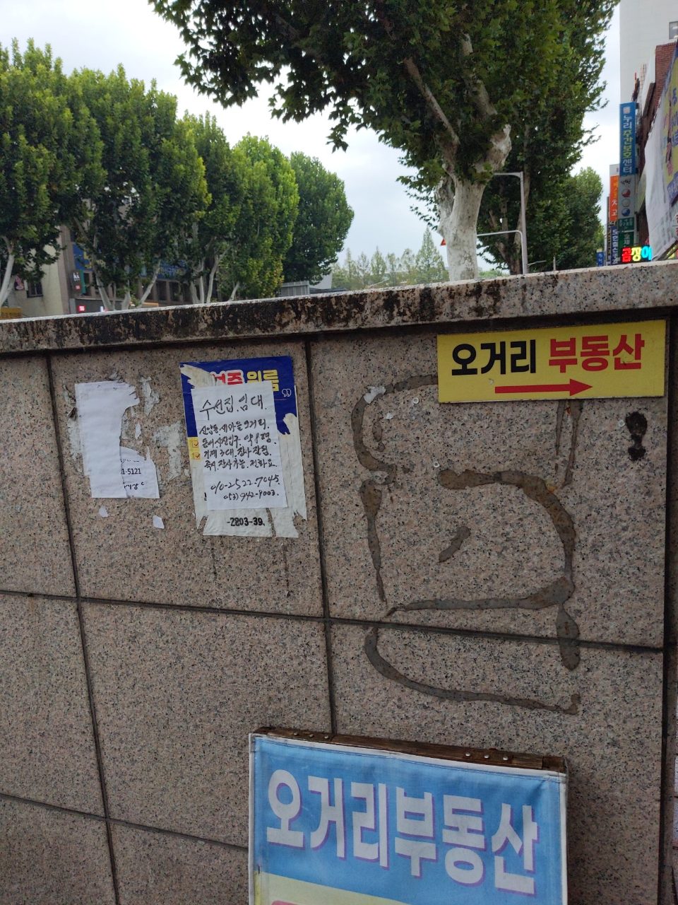 분석 대상 없음