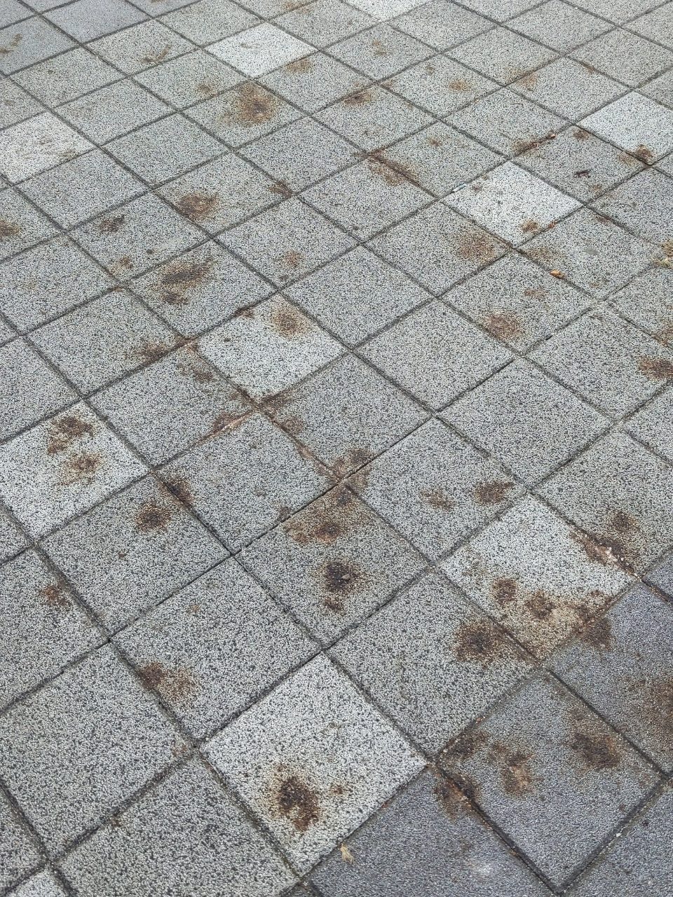 보도블록 균열