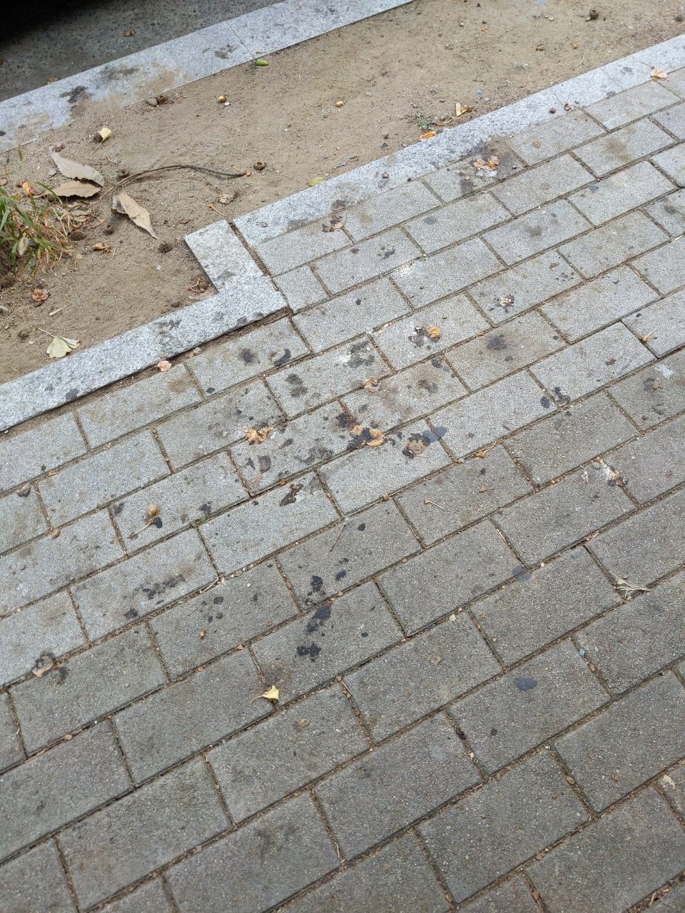 보도블록 변형
