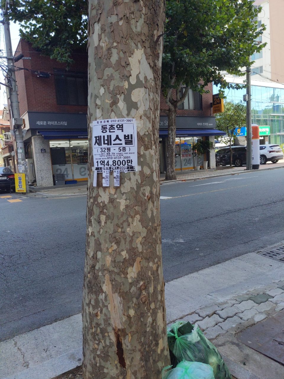 도로 이상 없음