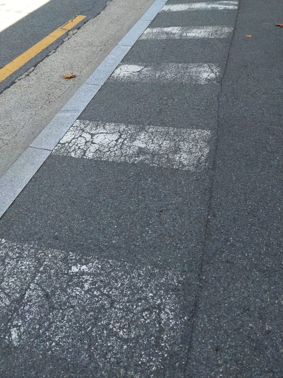 도로 균열