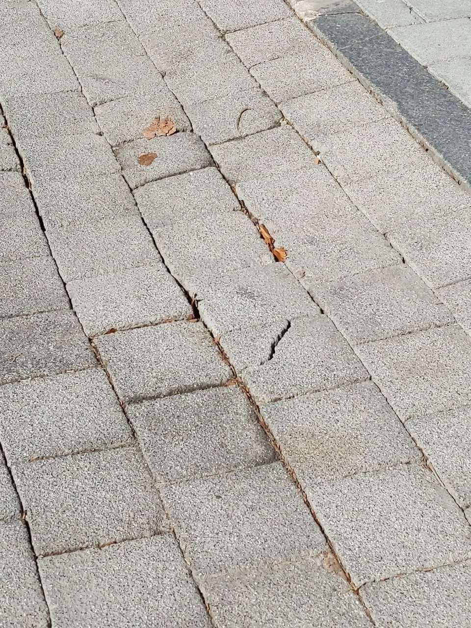 보도블록 균열