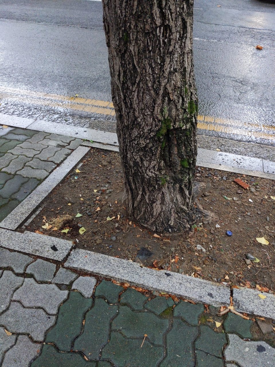 보도블록 구조물 파손