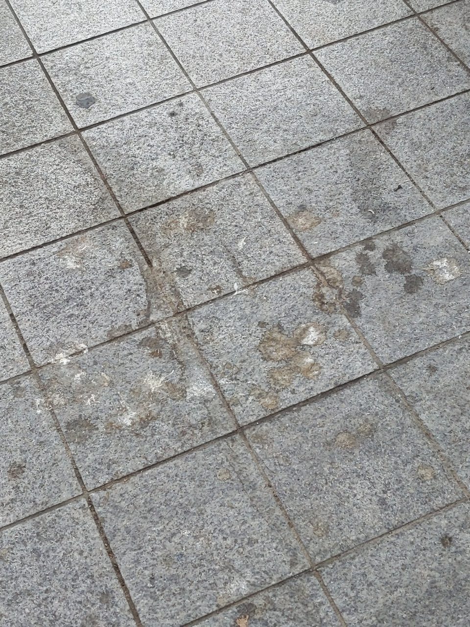 보도블록 균열