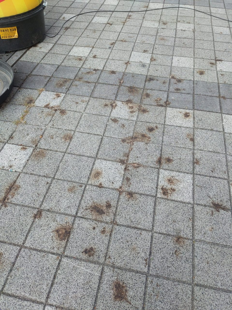 보도블록 균열