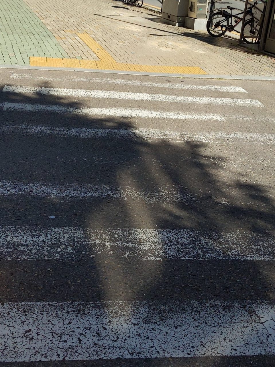도로 균열