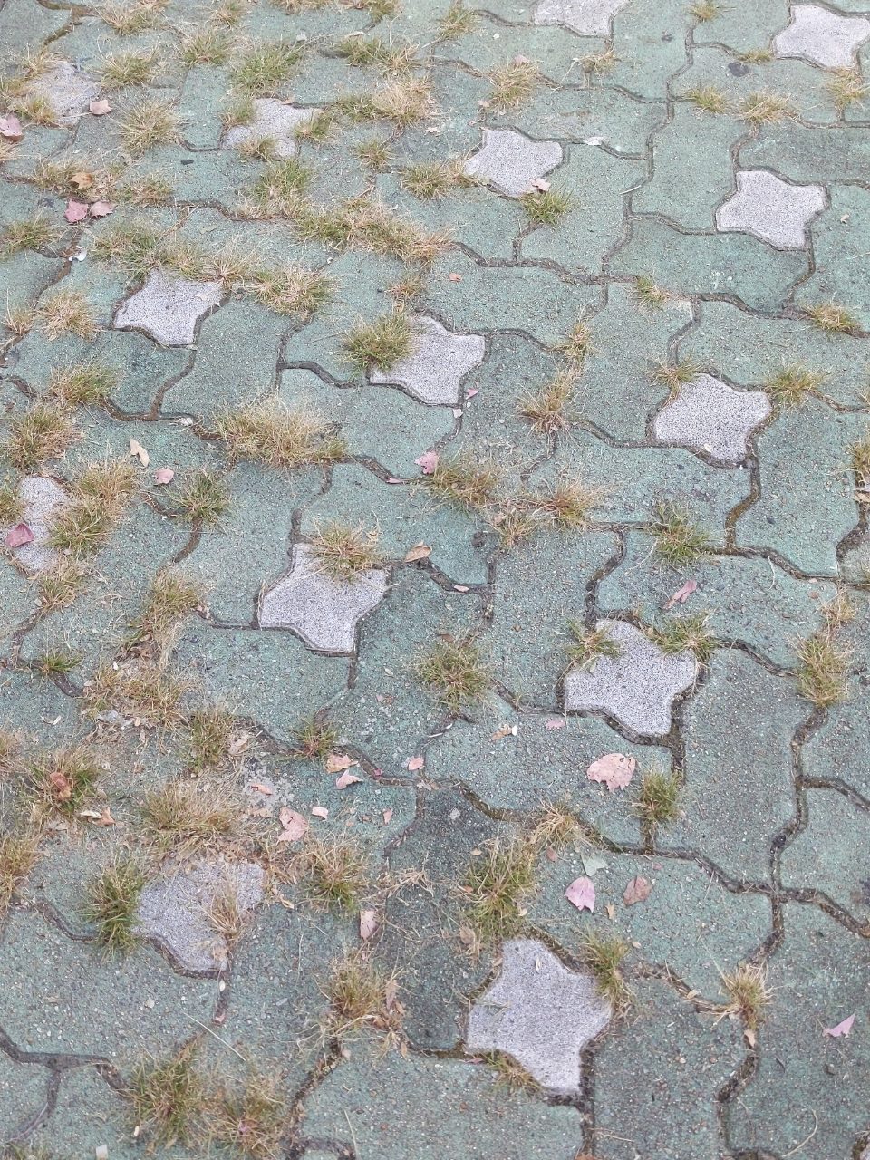보도블록 균열