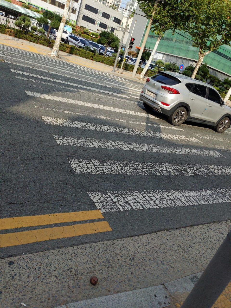 도로 균열