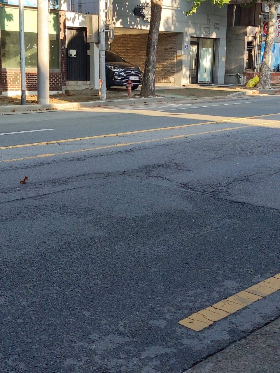 도로 균열