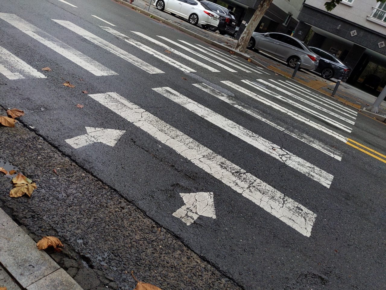 도로 균열