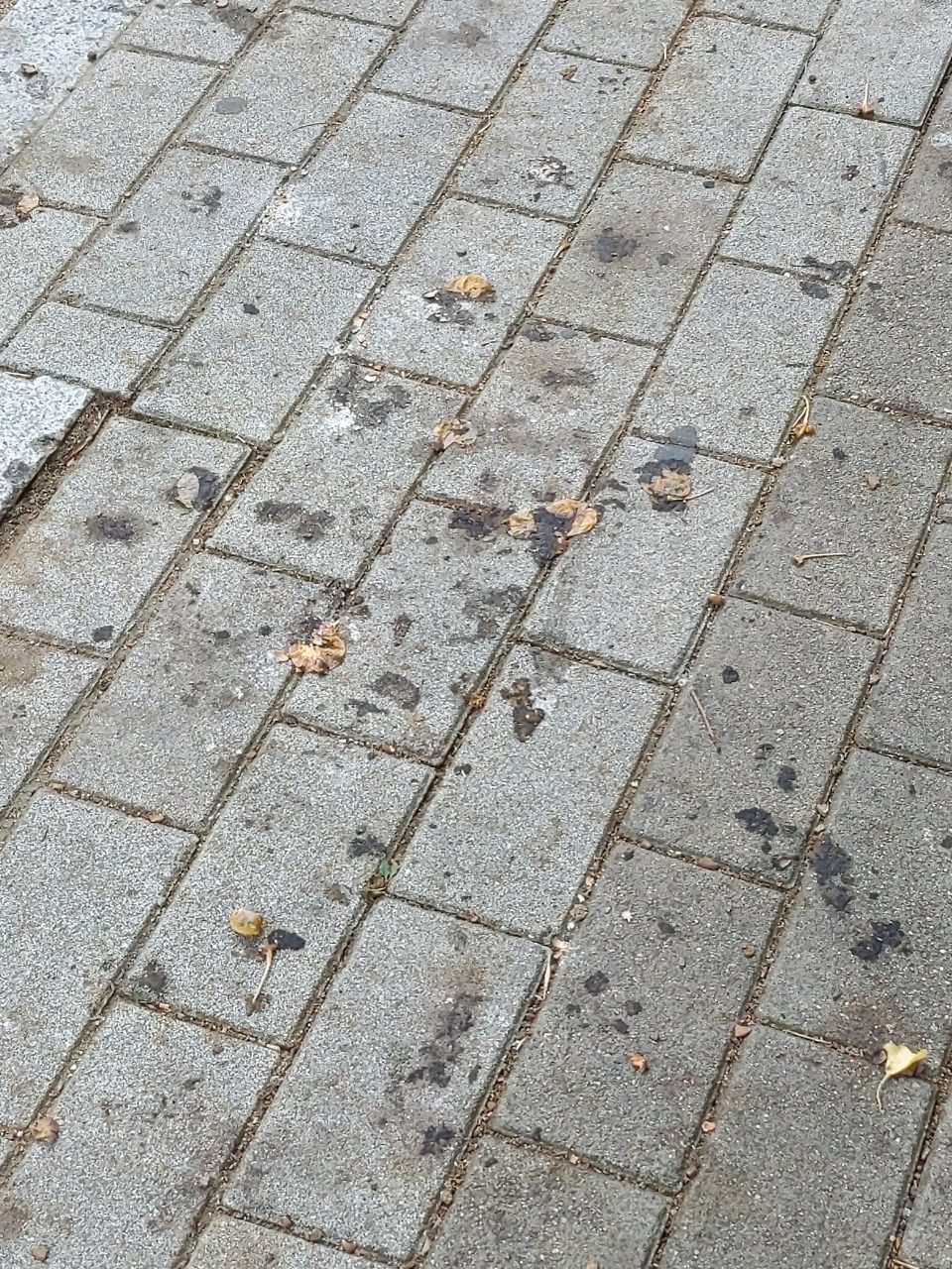 보도블록 변형