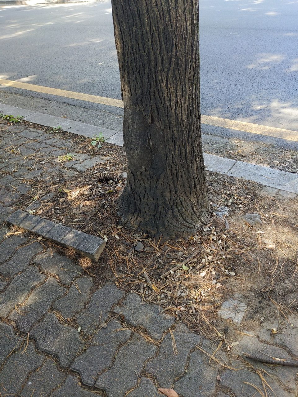 분석 대상 없음