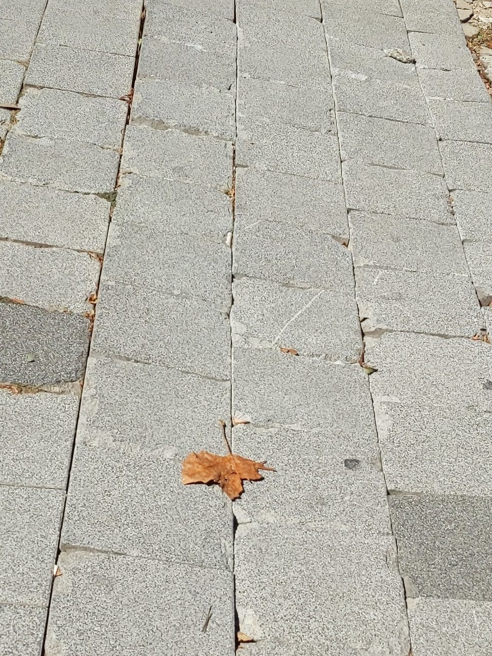 보도블록 구조물 파손
