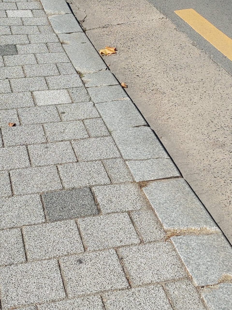 도로 균열