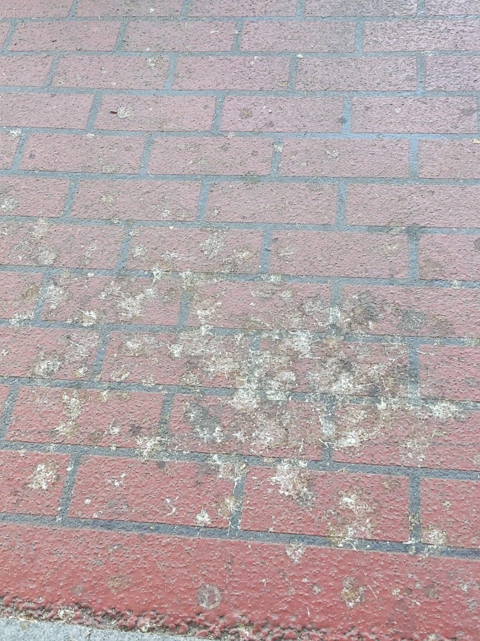 보도블록 변형
