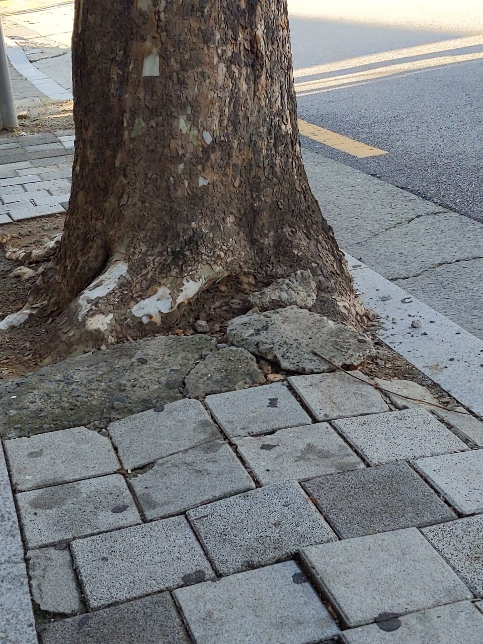 보도블록 구조물 파손