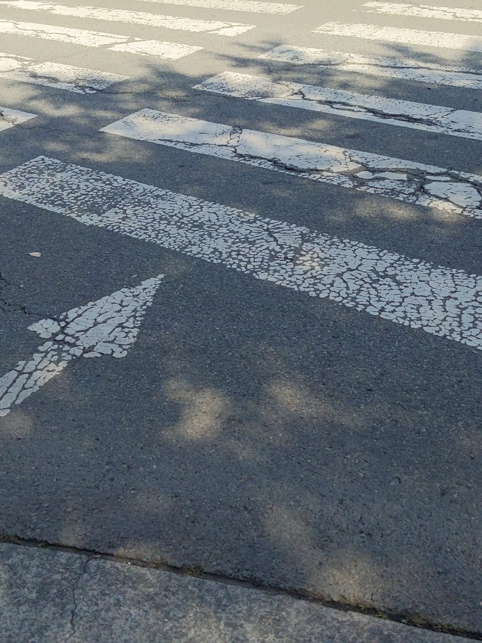 도로 균열