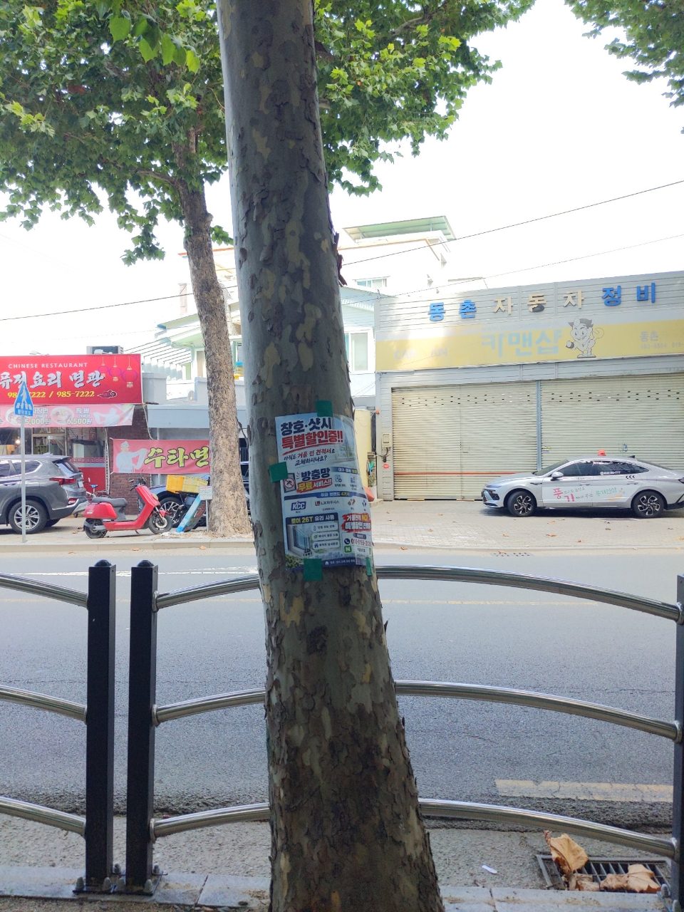 분석 대상 없음