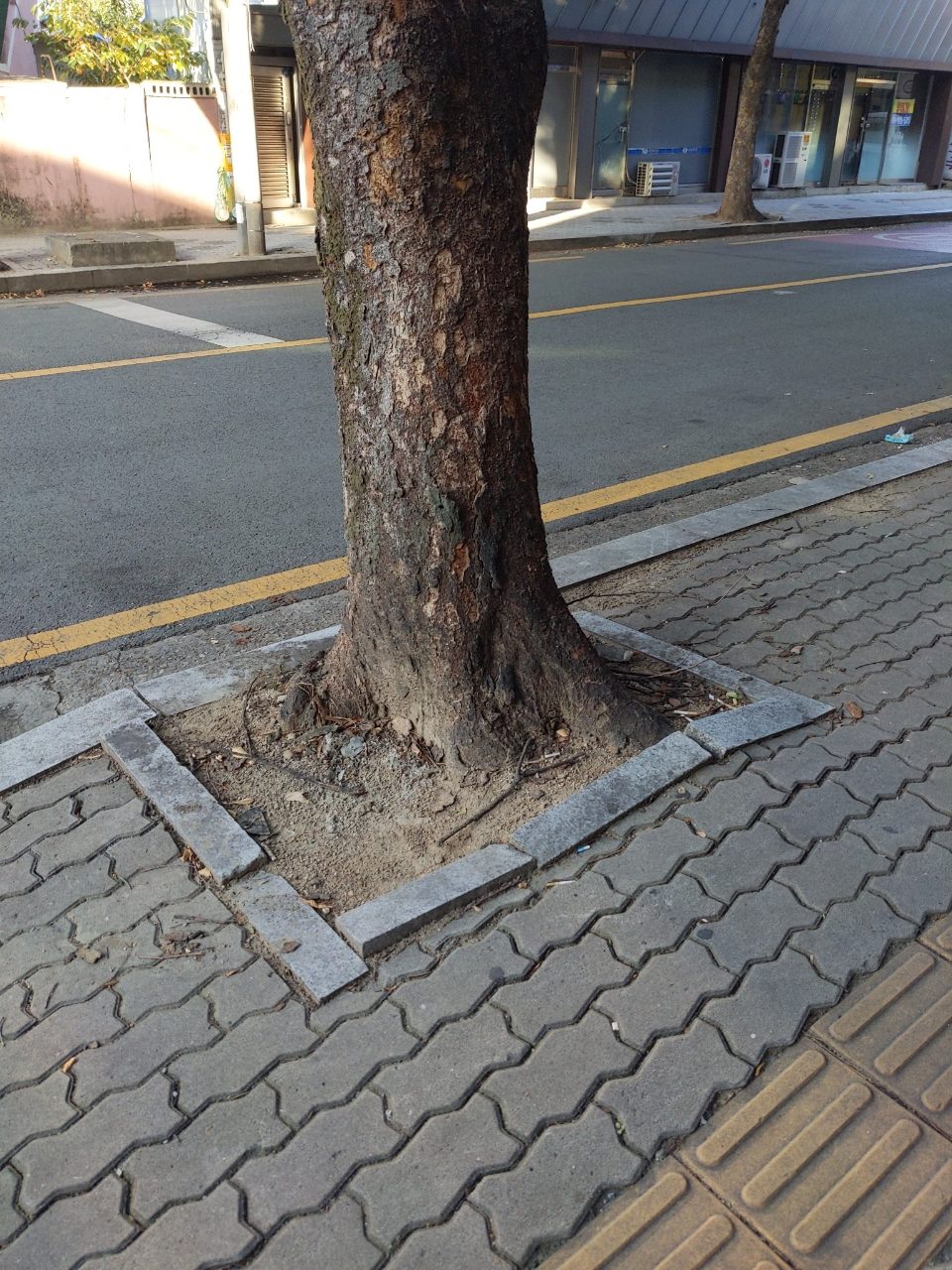 보도블록 구조물 파손