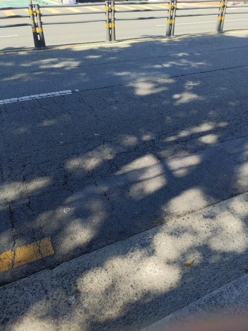 도로 균열