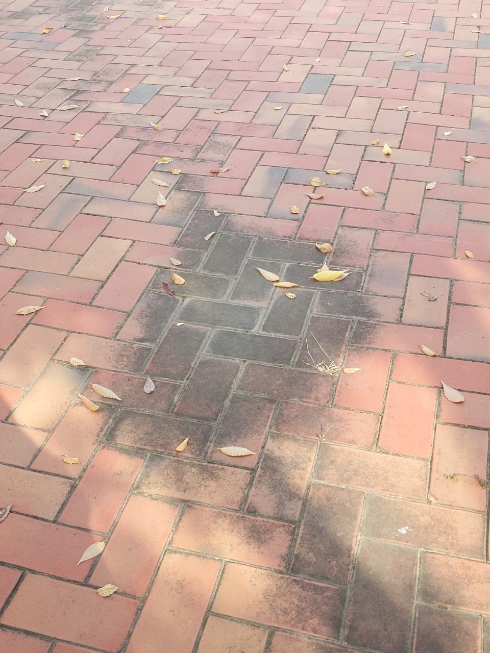 보도블록 변형