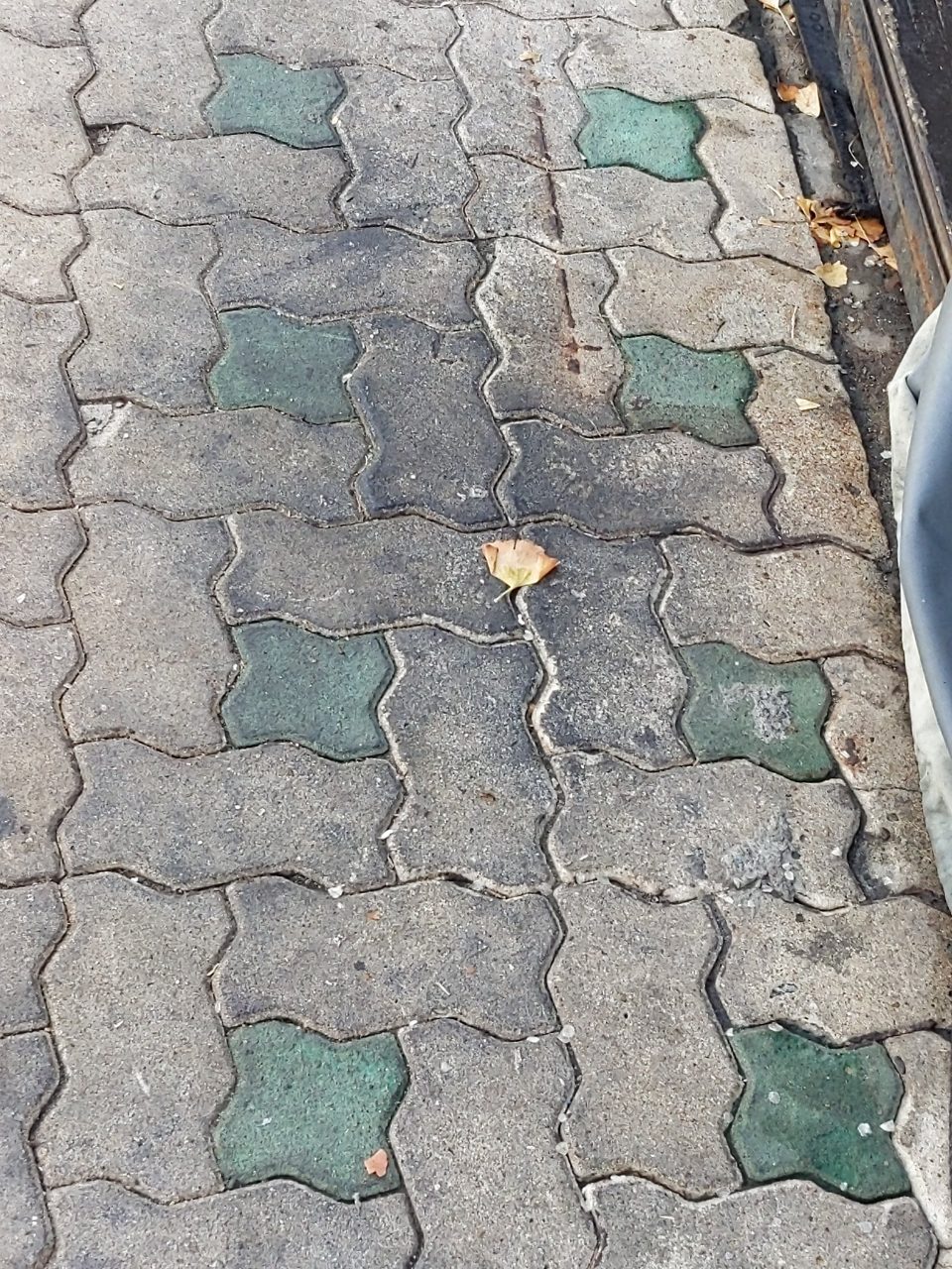 보도블록 균열