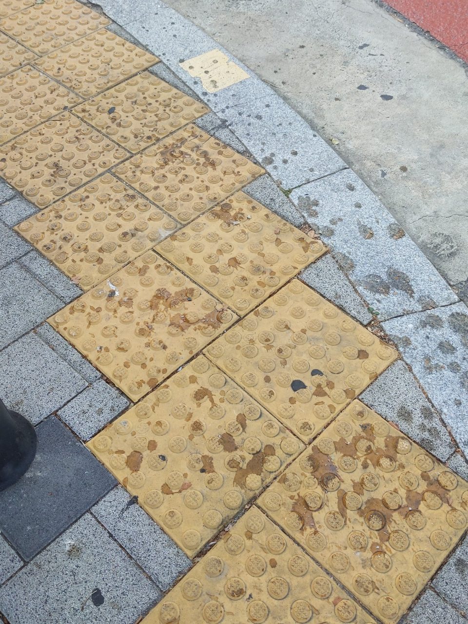 보도블록 이상 없음